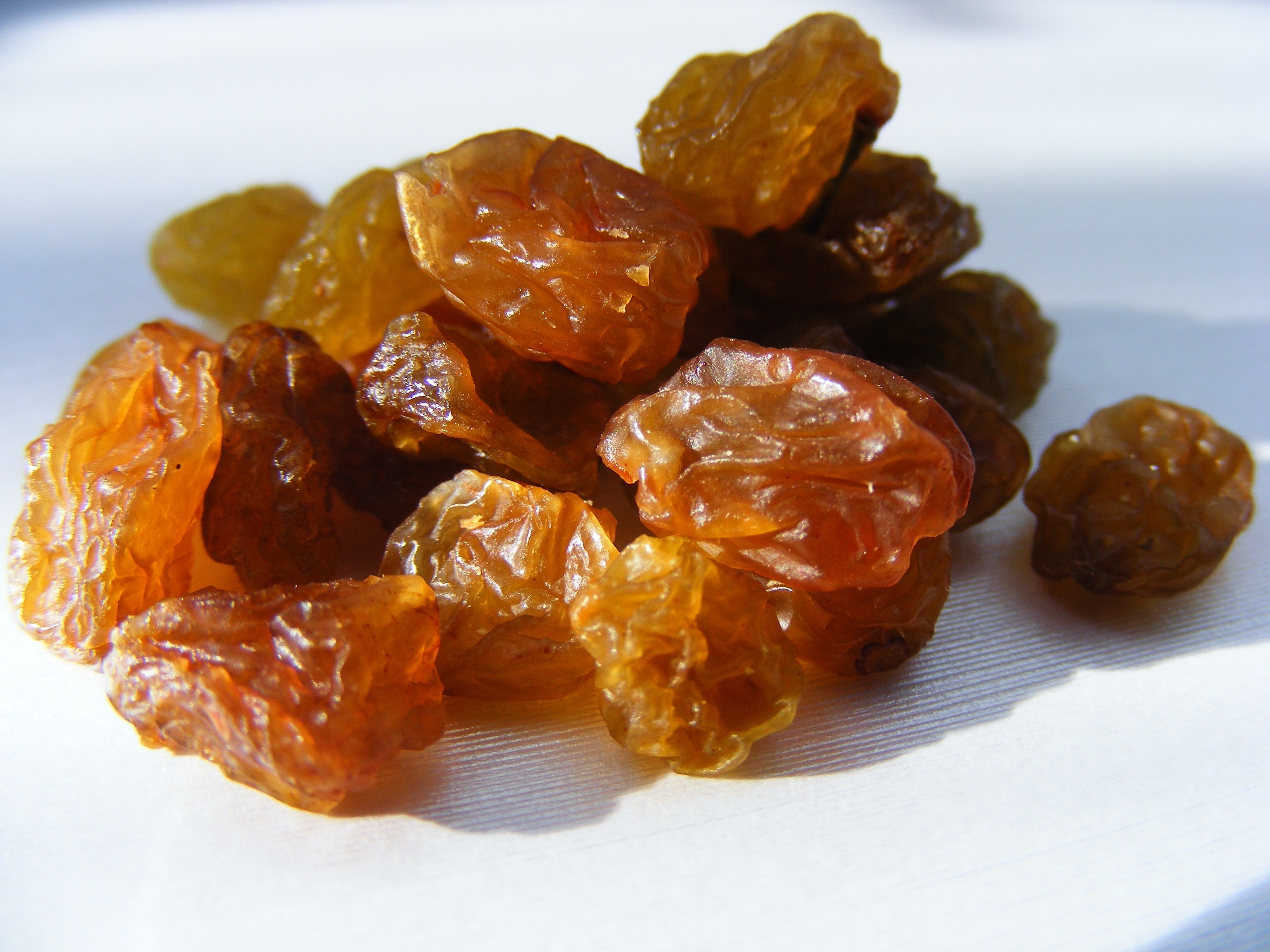 close up photograph of raisins