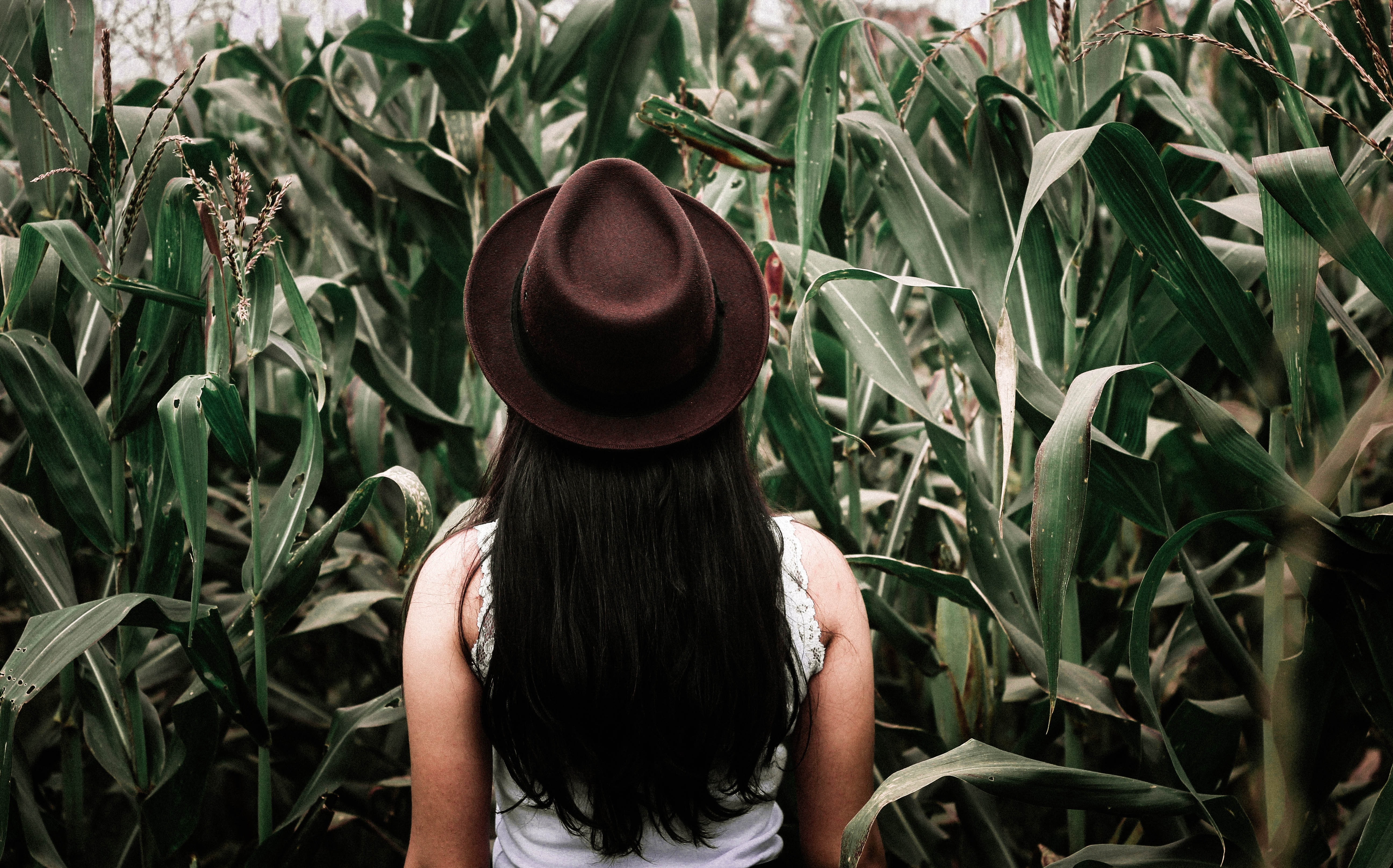 Чел цветы. Девушка в кукурузном поле. Растения и человек. Фотосессия в кукурузном поле. Фотосессия в кукурузном пол.