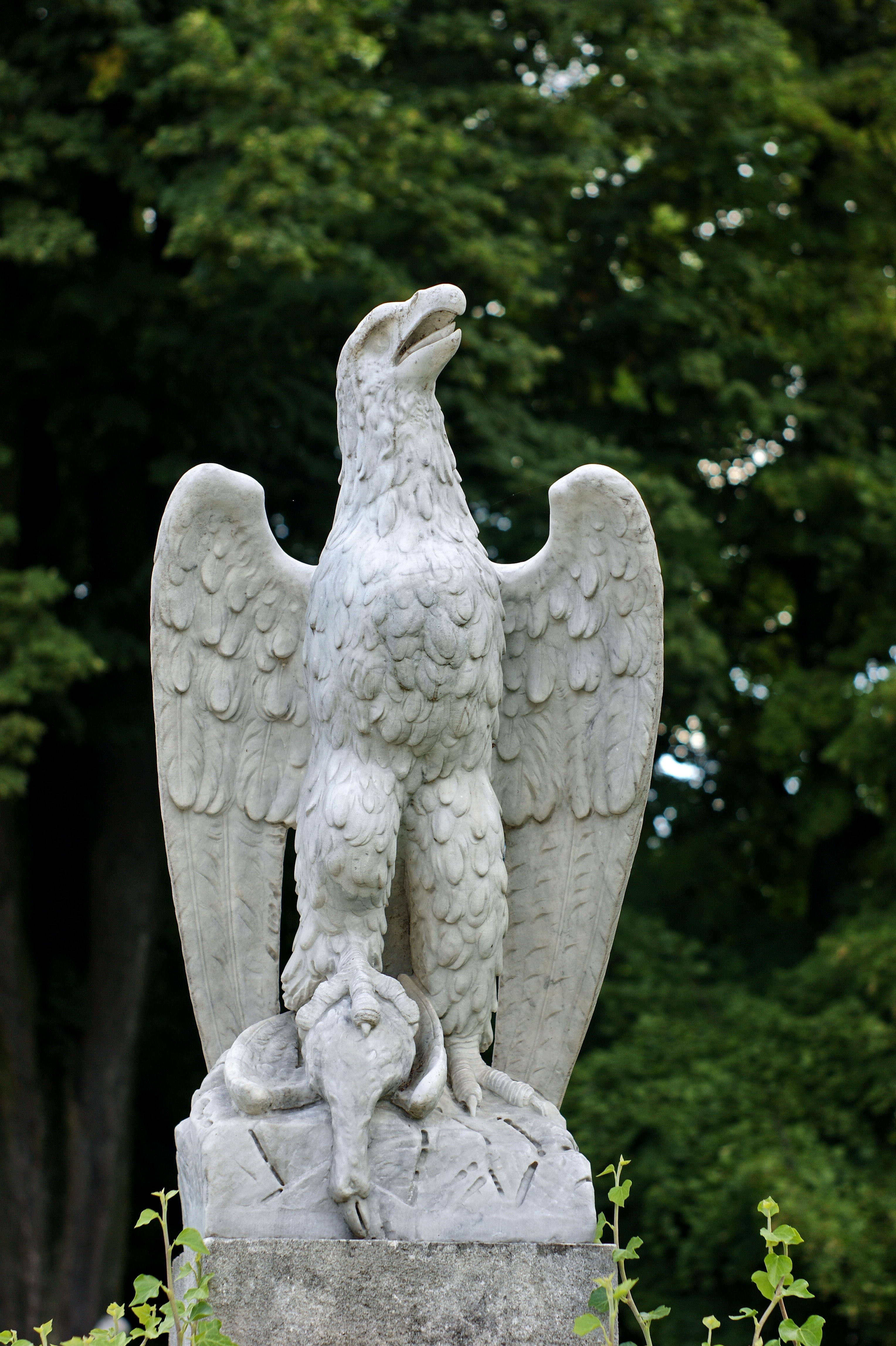 white eagle statue