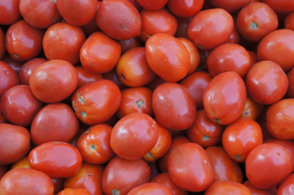 red tomato lot preview