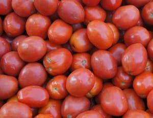 red tomato lot thumbnail