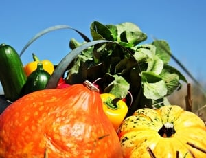 Cucumbers, Pumpkins, Thanksgiving, food and drink, vegetable thumbnail