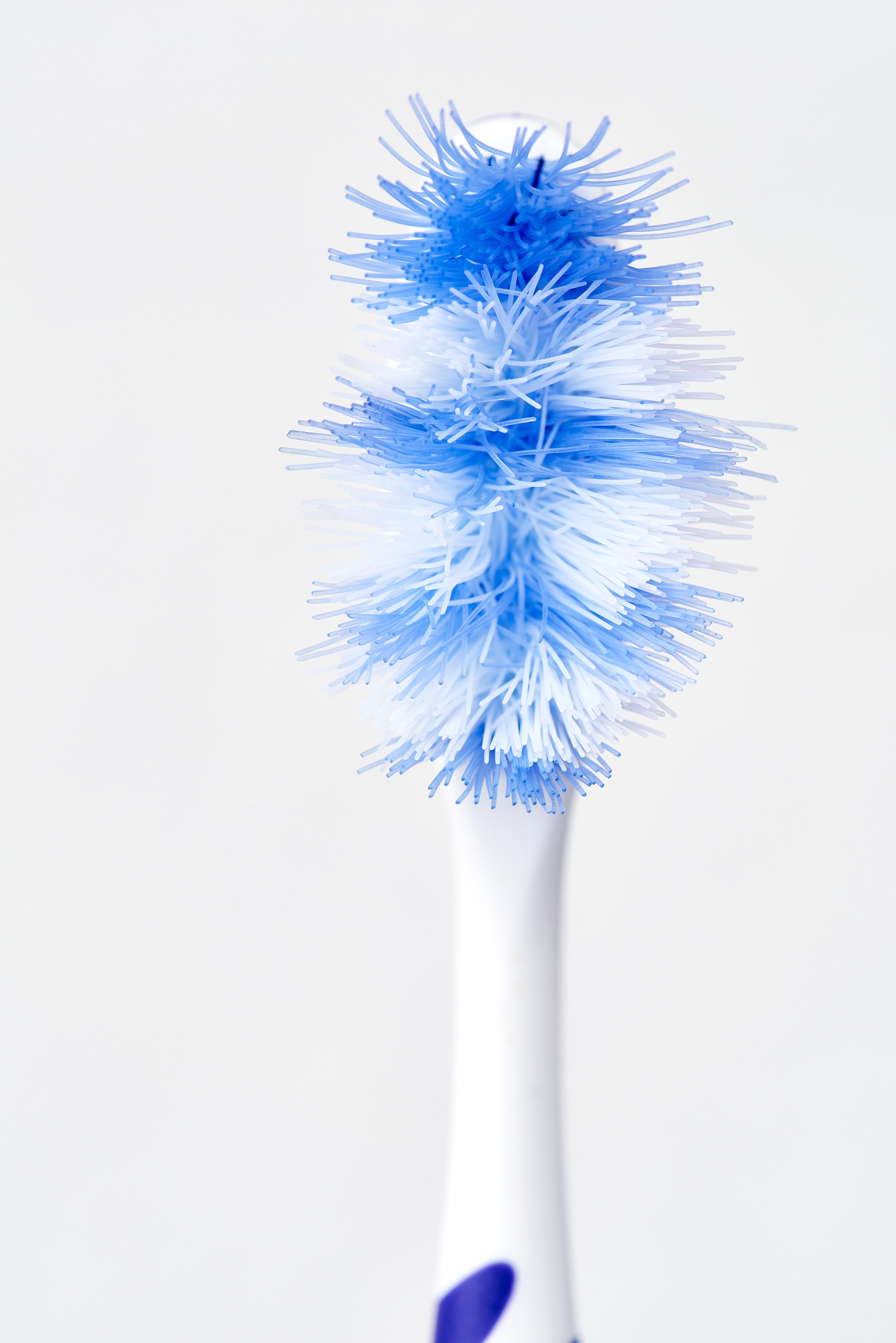 white and blue toothbrush