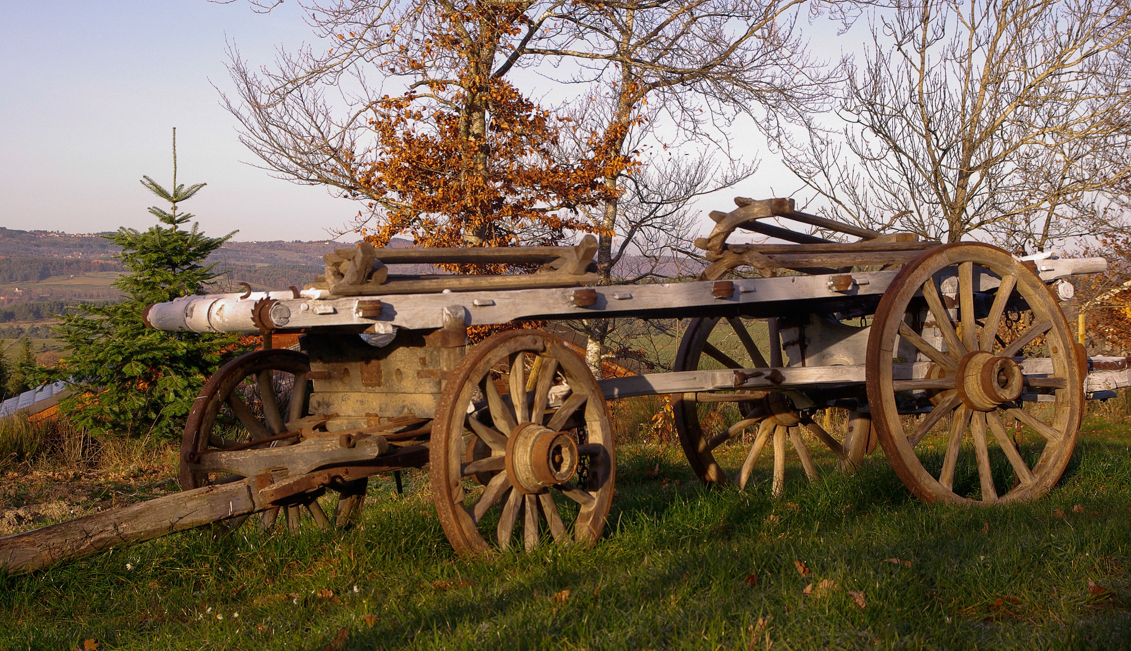 Agriculture, Cart, Farmer, France, wagon wheel, wheel