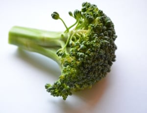 green brocolli thumbnail