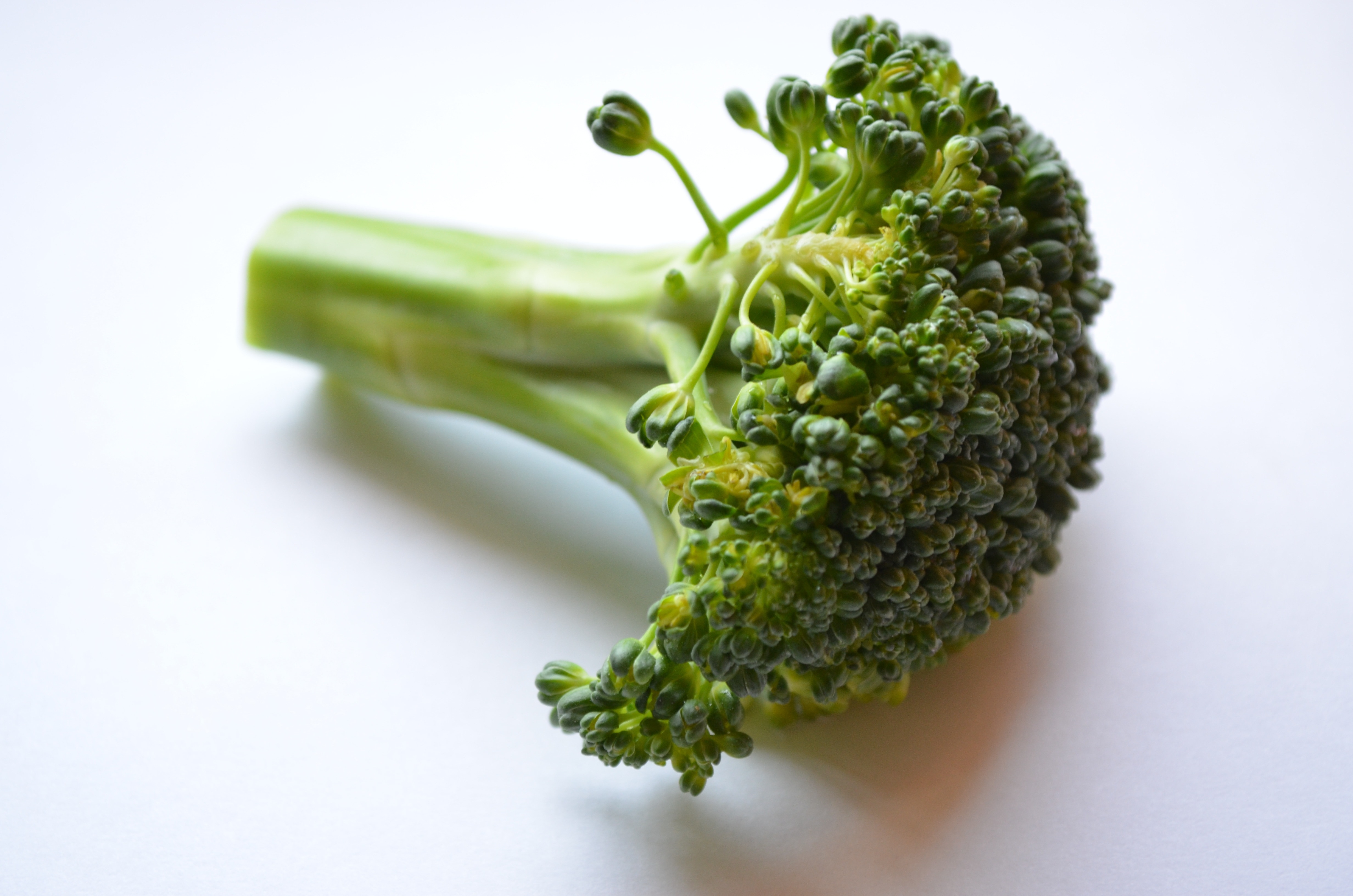green brocolli