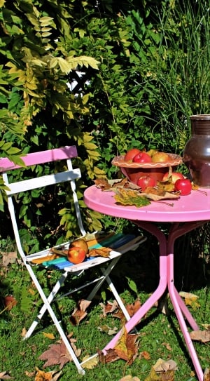Garden Table, Garden, Autumn, Apple, chair, table thumbnail