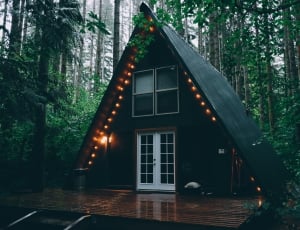 black wooden roof house thumbnail