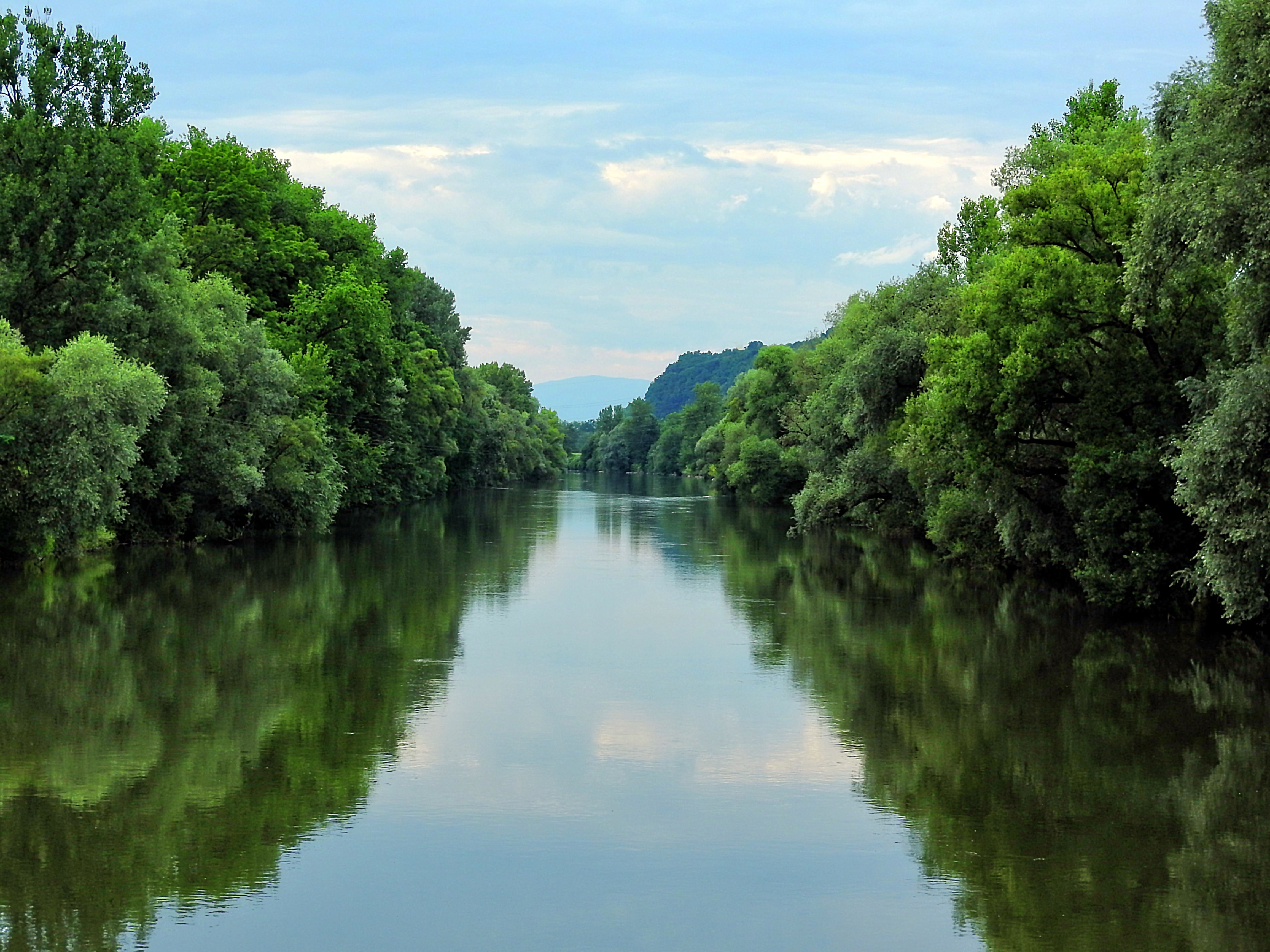 Styria, River, Mur, reflection, tree