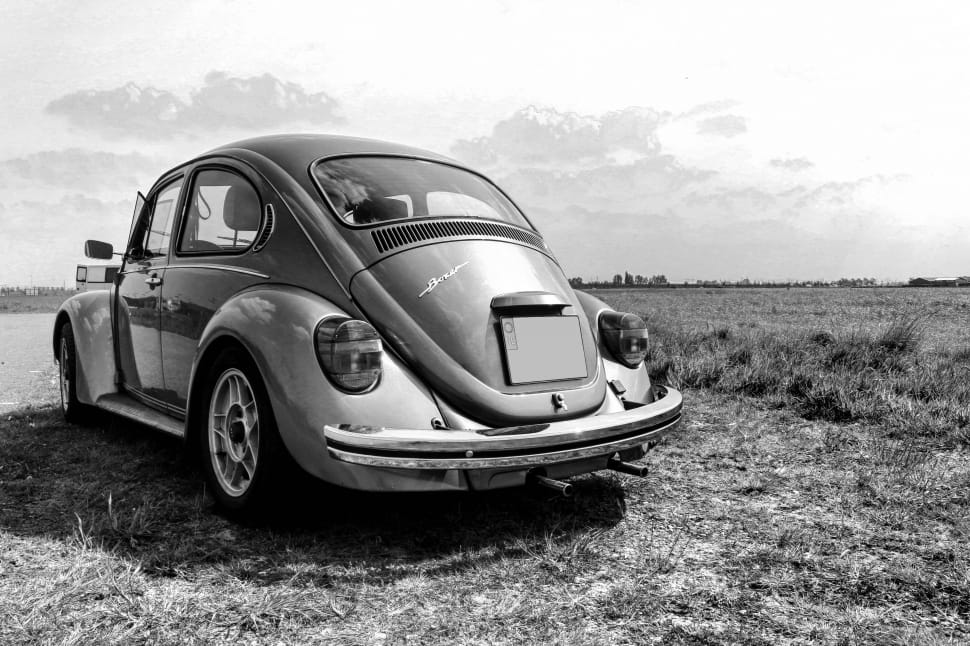 grayscale photo volkswagen beetle preview