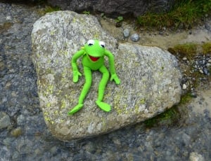 Kermit, Frog, Heart, Stone, Love, Nature, one animal, animal themes thumbnail