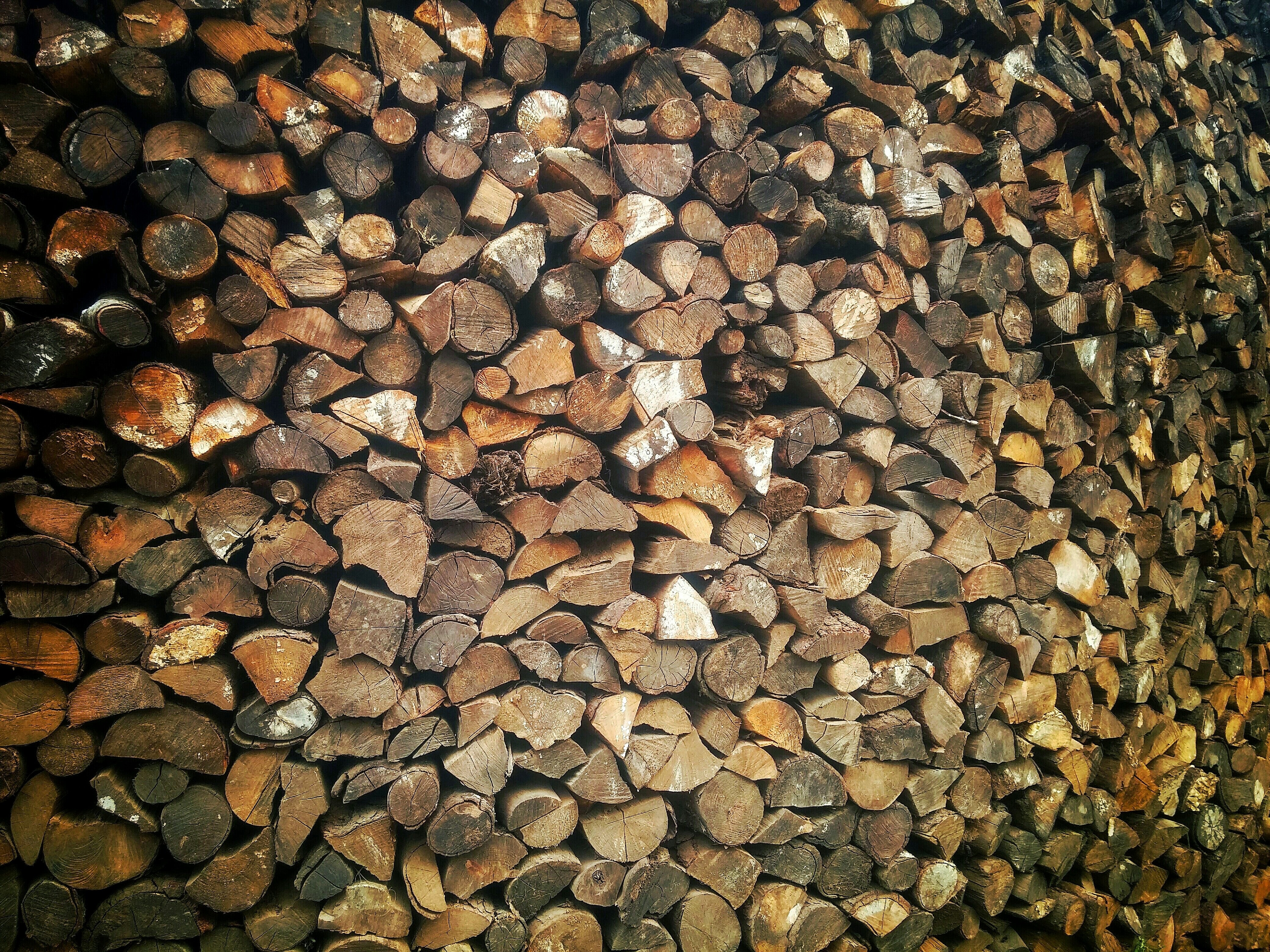 brown firewood lot