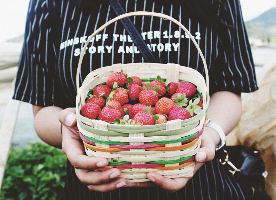 Person Holding Basket of Strawberries preview