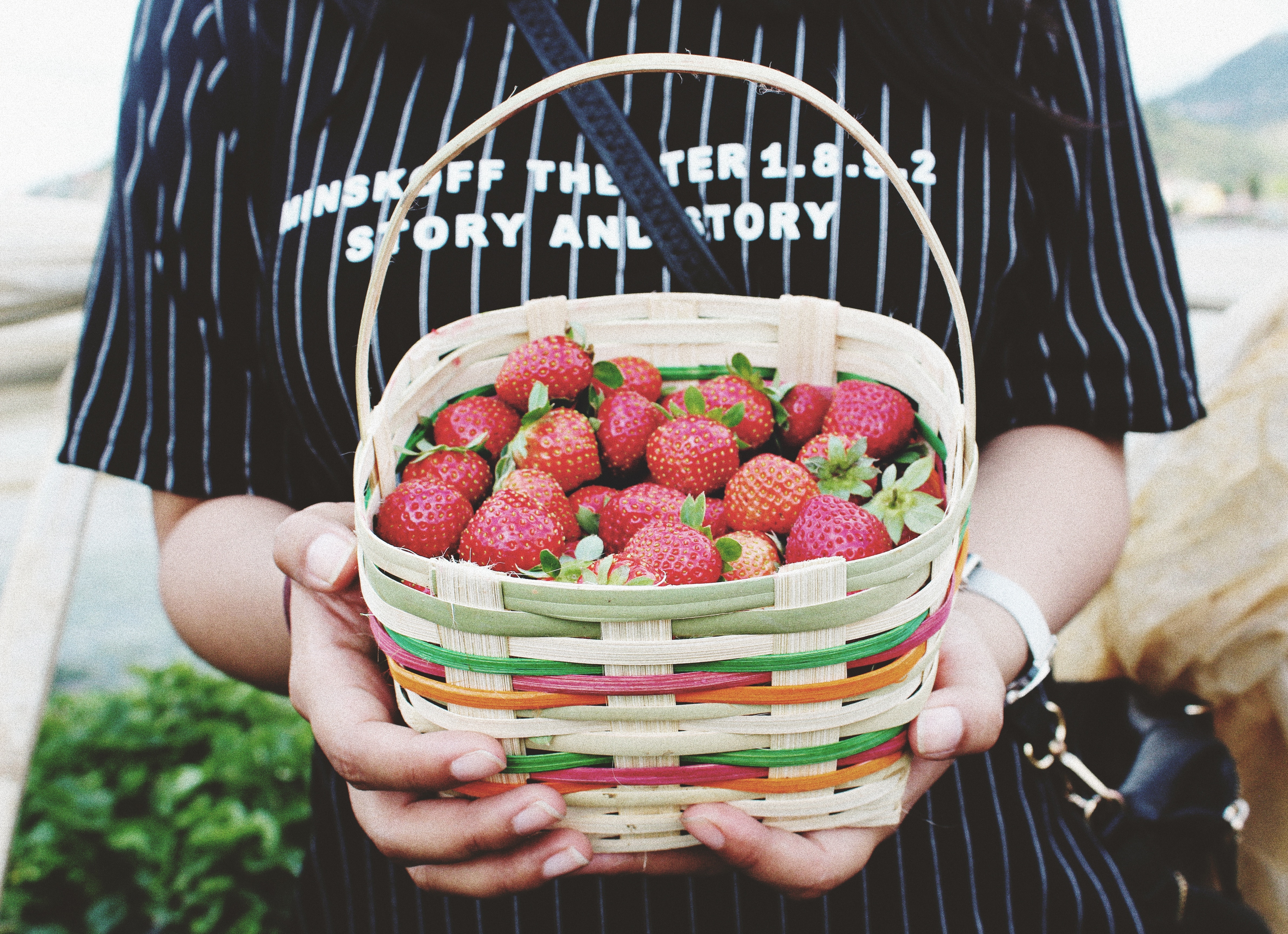 Person Holding Basket of Strawberries