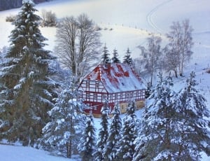 red and white painted house and pine trees thumbnail