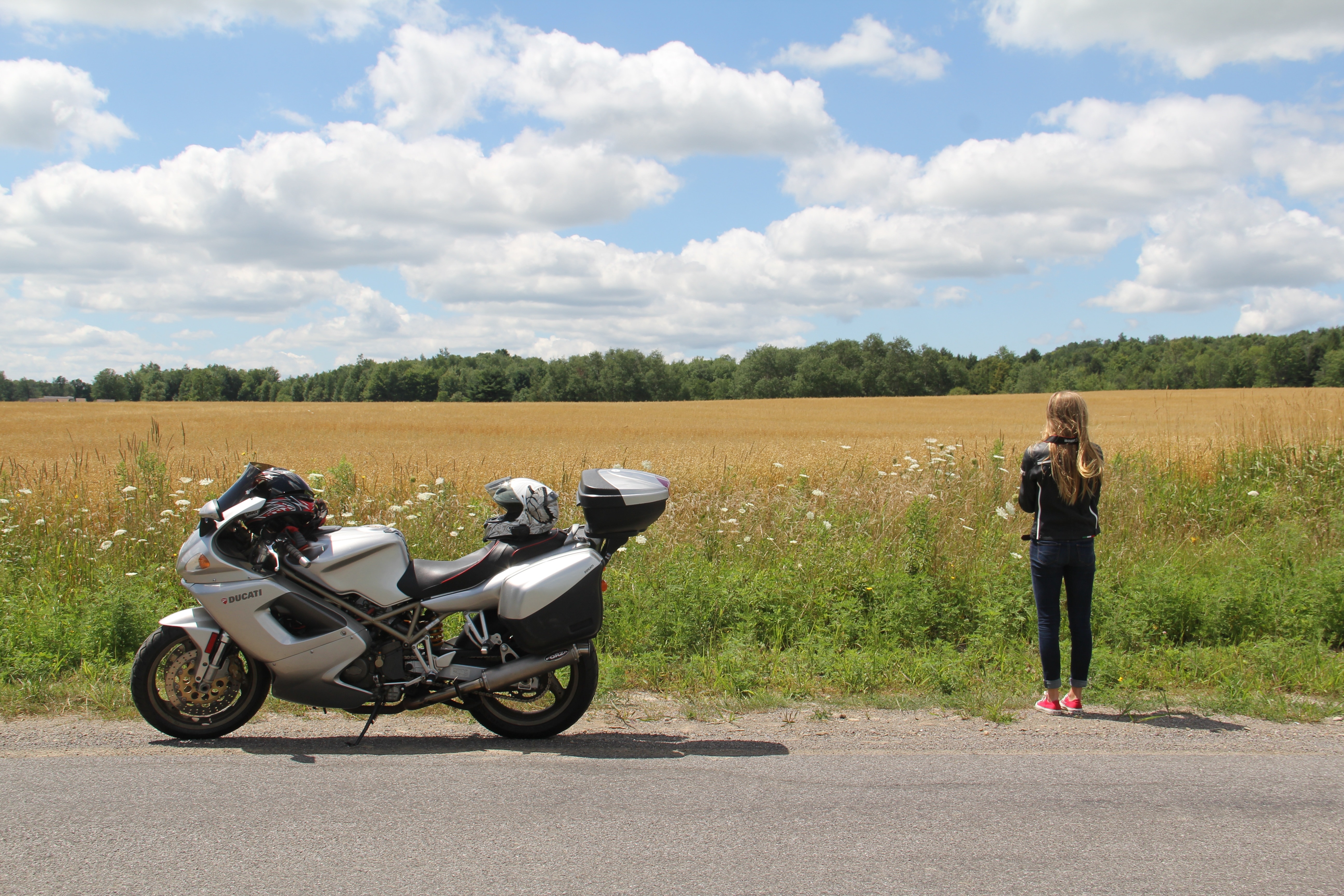 grey and black sport bike