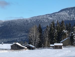 gray house covered snow near mountain thumbnail