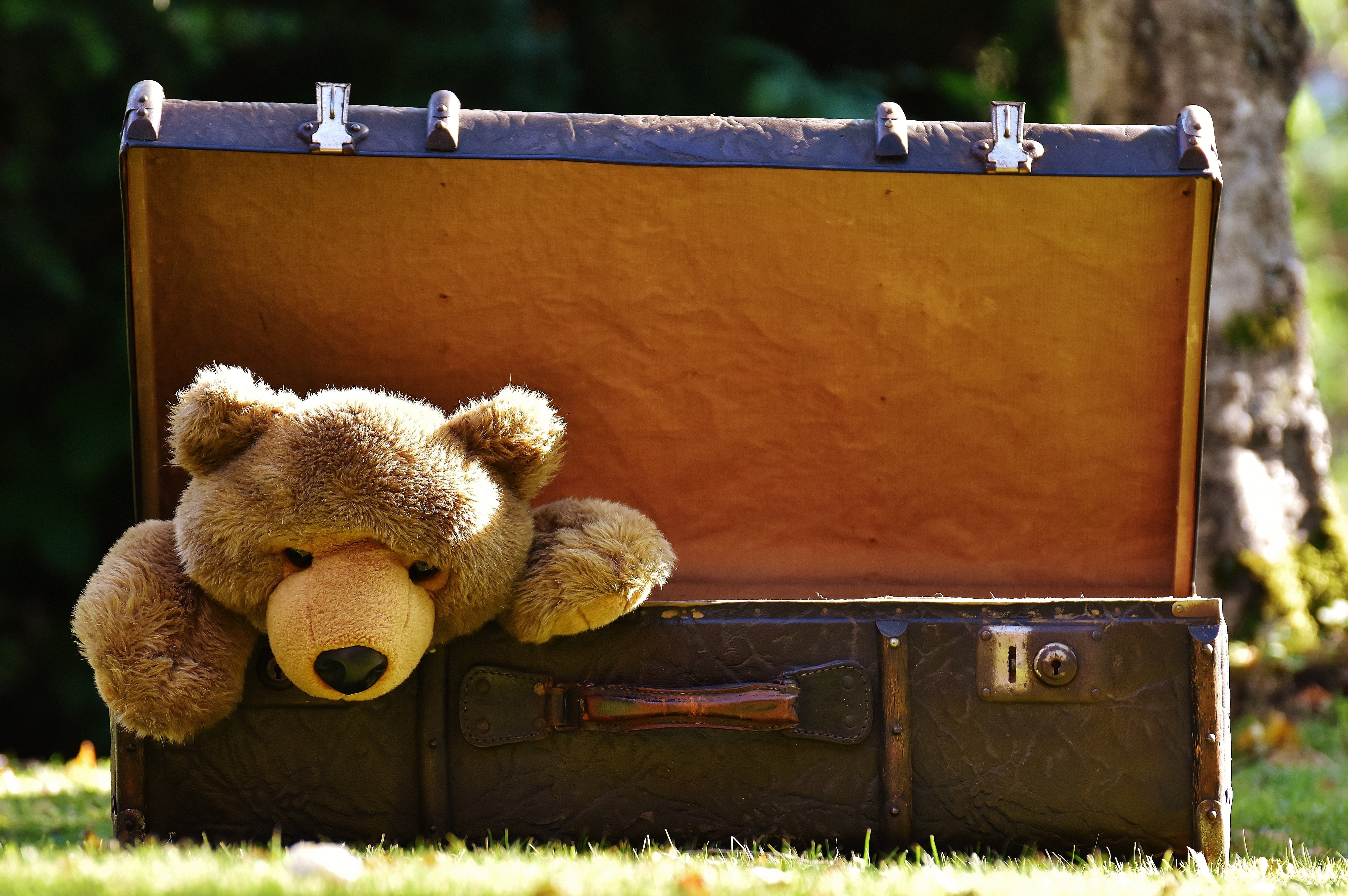 brown teddy bear with storage box