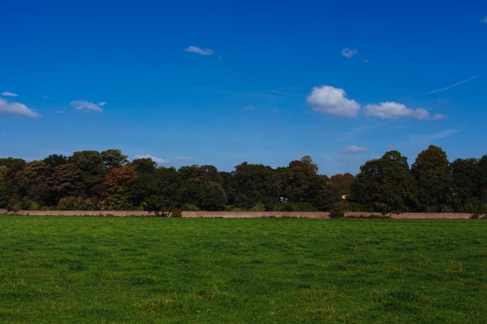 landscape photo of green grass and green trees under the blue sky at daytime\ preview