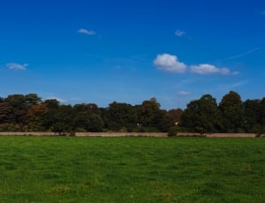 landscape photo of green grass and green trees under the blue sky at daytime\ thumbnail