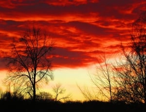 Mood, Red Clouds, Red, Clouds, Sky, sunset, dramatic sky thumbnail