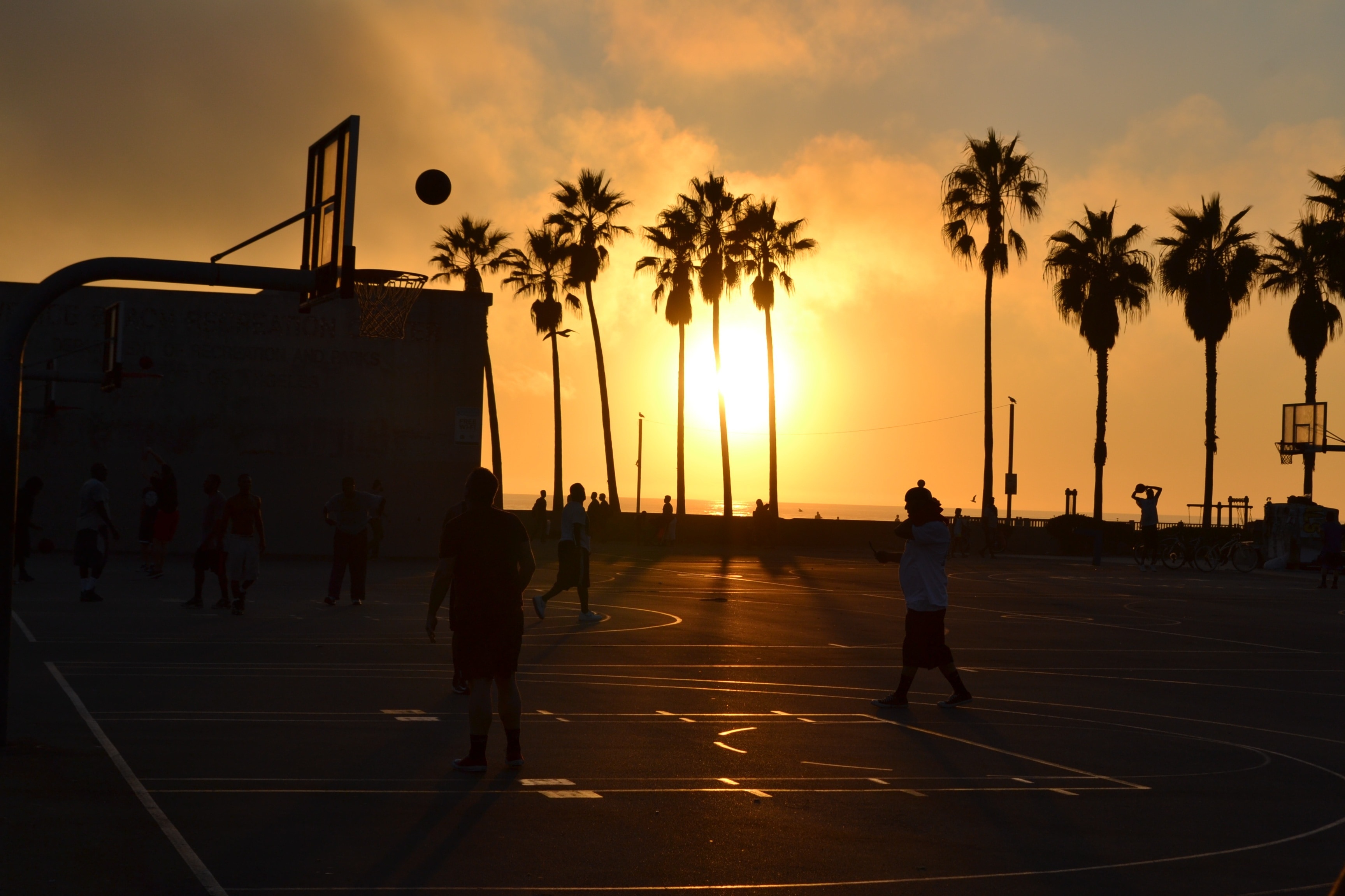 silhouette of palm trees and outdoor basketball court