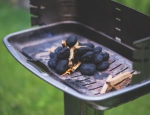 charcoal grill thumbnail