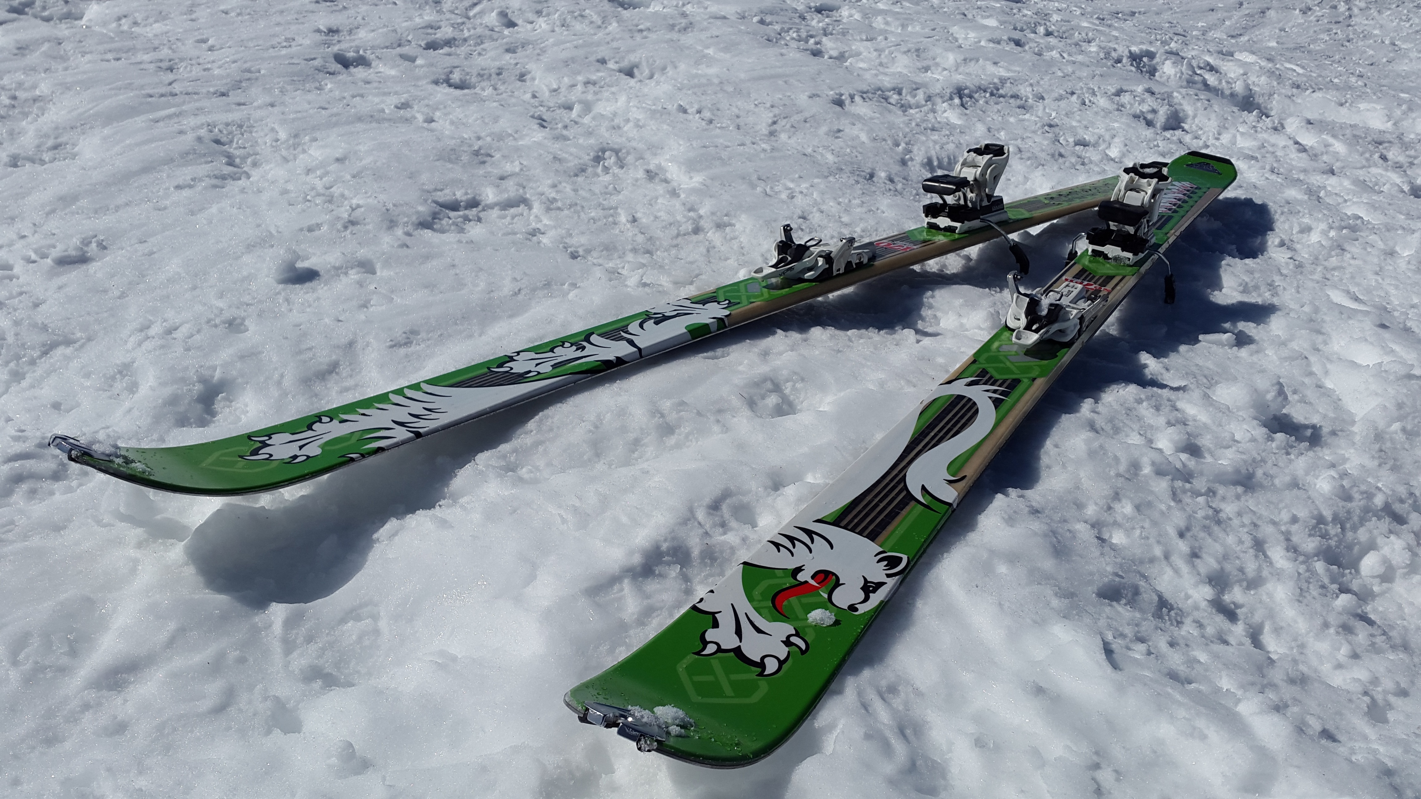 green and white skis