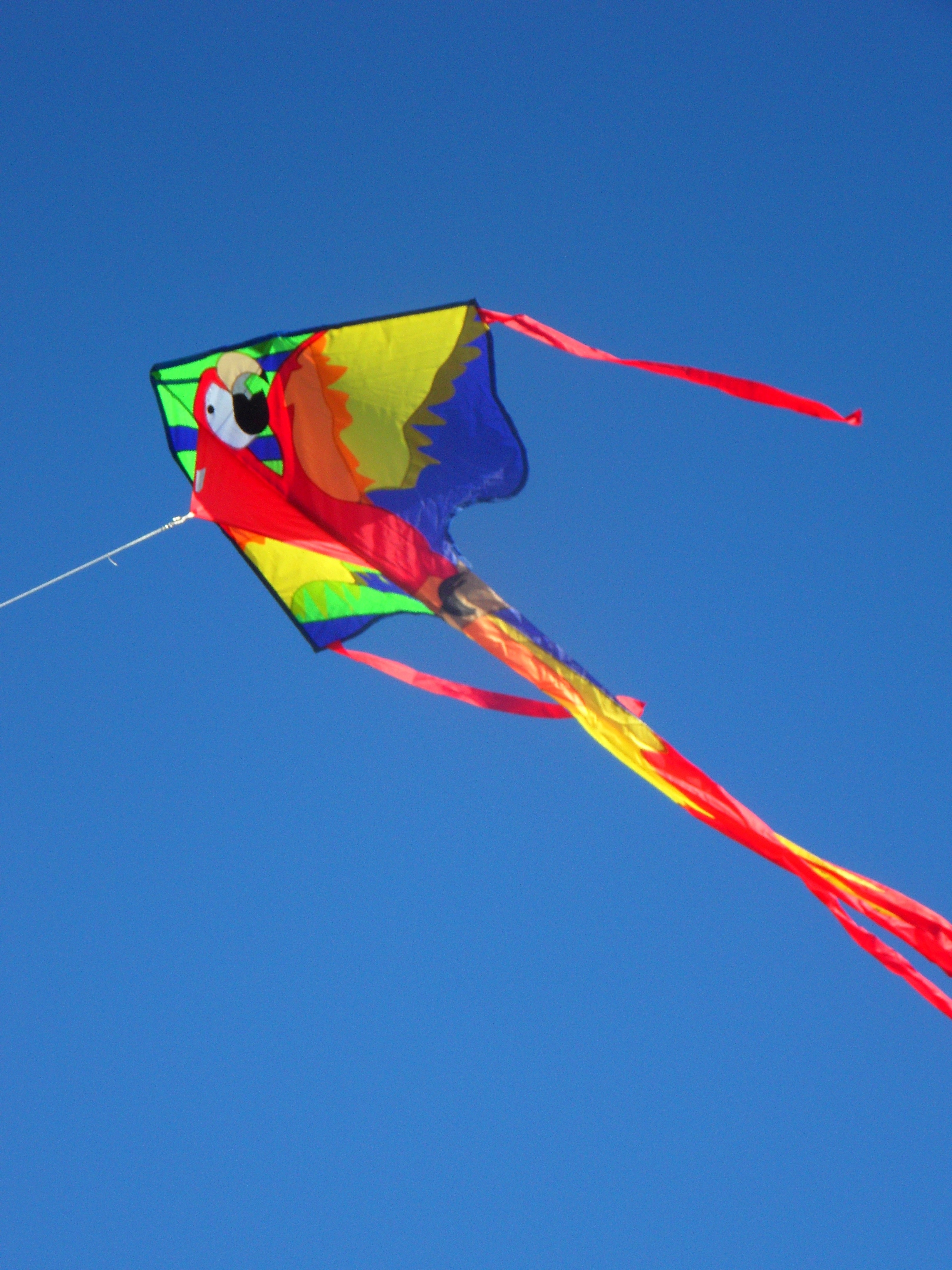 green blue and yellow bird printed kite