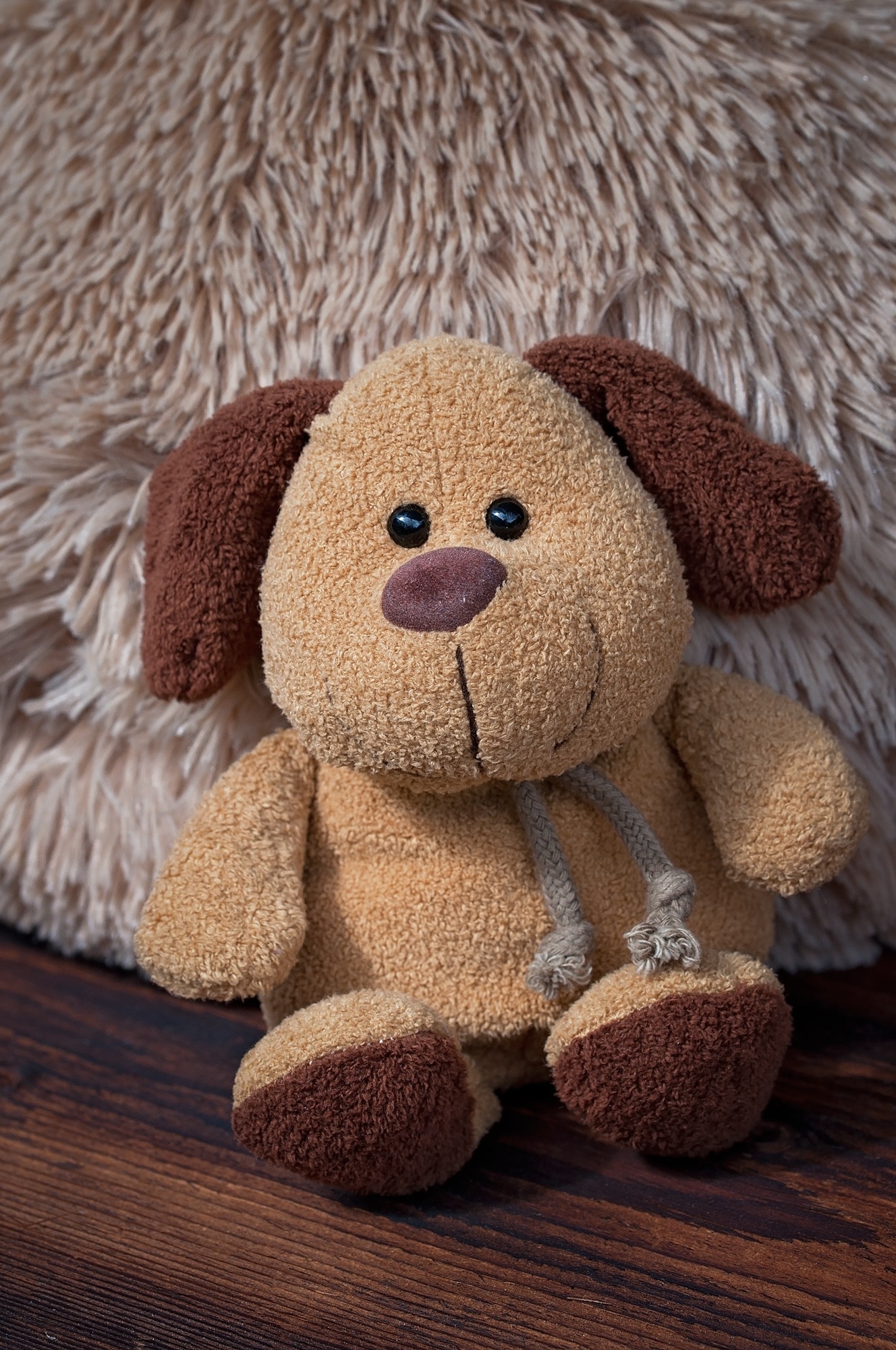 brown dog plush toy