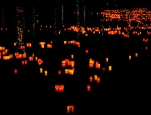 Candles, Lights, Floating Candles, night, illuminated thumbnail