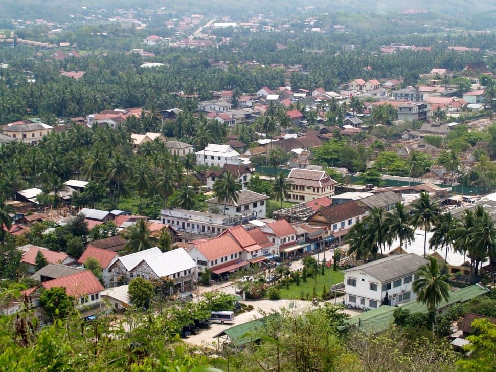 aerial photo of town surrounded with tall trees preview
