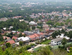 aerial photo of town surrounded with tall trees thumbnail
