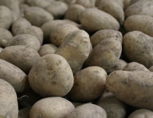 potatoes thumbnail