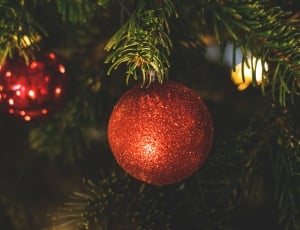 shallow focus photography of red bauble on green christmas tree thumbnail