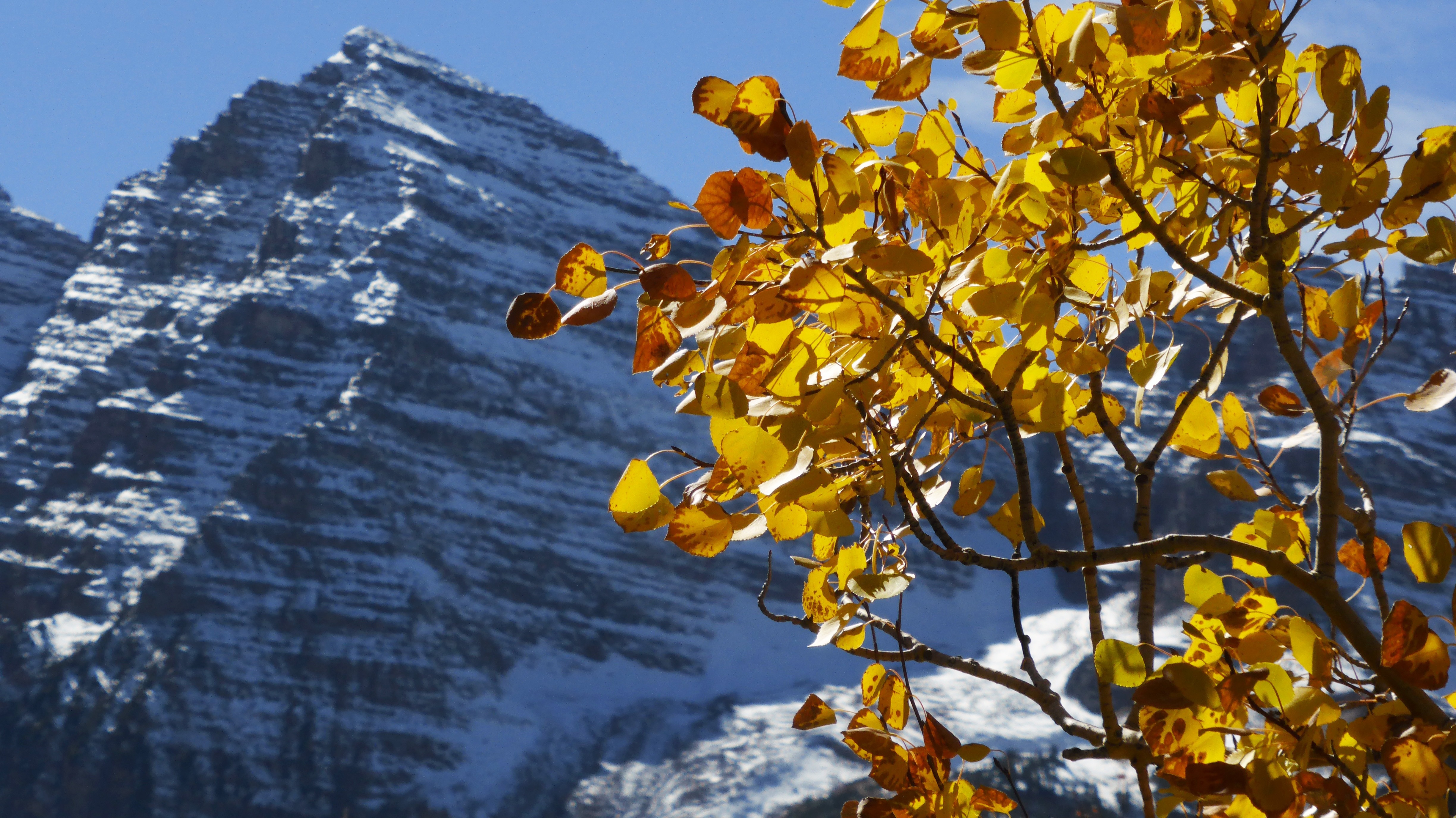 Colorado, Landscape, Side, Mountain, autumn, leaf