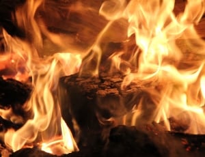 Fireplace, Wood, Fire, Blaze, Flame, heat - temperature, flame thumbnail