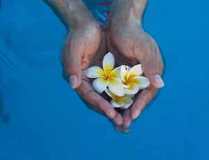 Water, Flowers, Collection Of Hand, flower, human body part thumbnail
