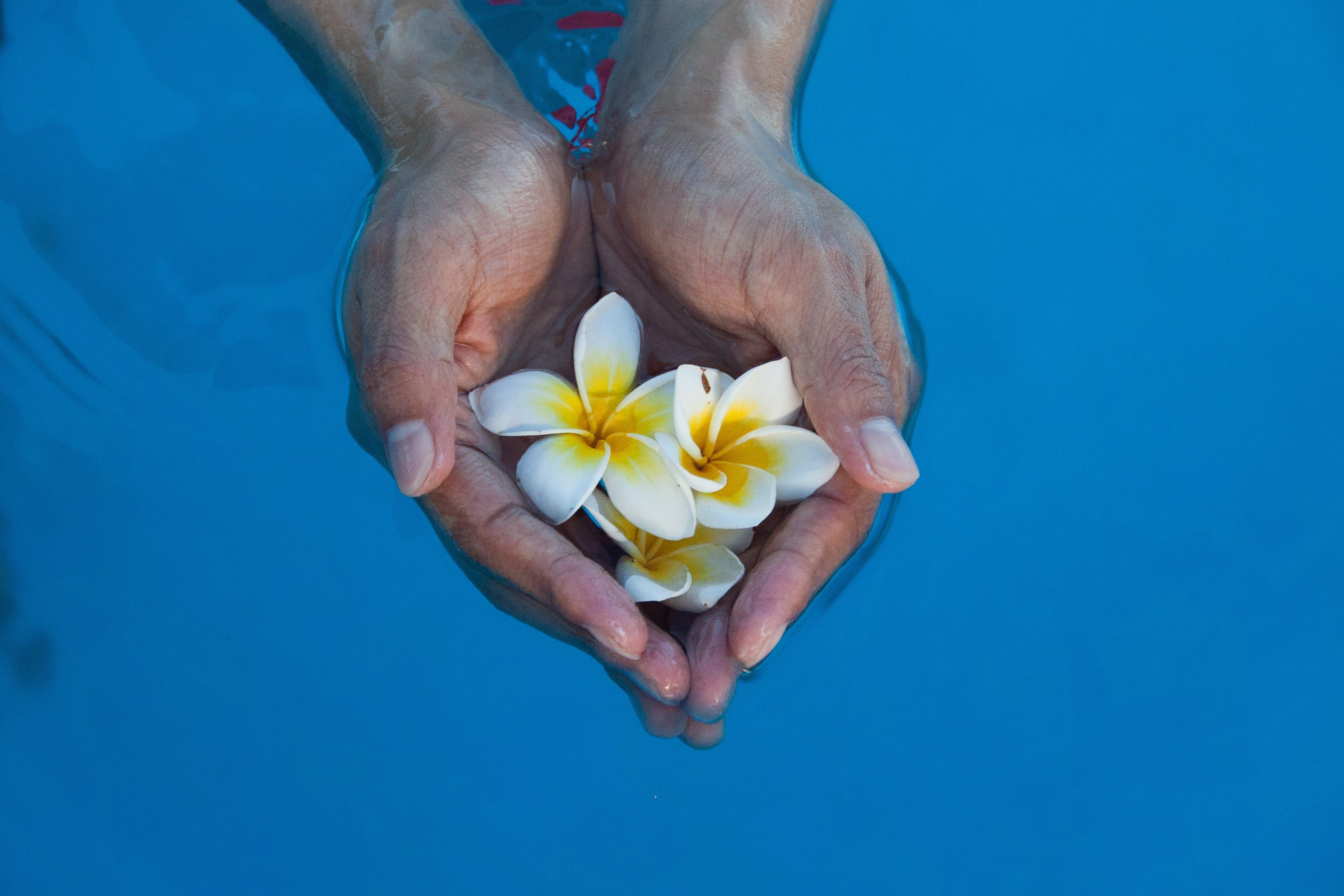 Water, Flowers, Collection Of Hand, flower, human body part