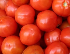 tomato fruit lot thumbnail