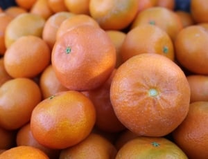 orange mandarin fruit thumbnail
