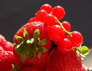 Strawberry, Summer, Fruits, Red, Fruit, red, strawberry thumbnail