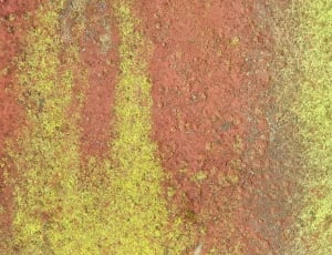 yellow orange flooring thumbnail