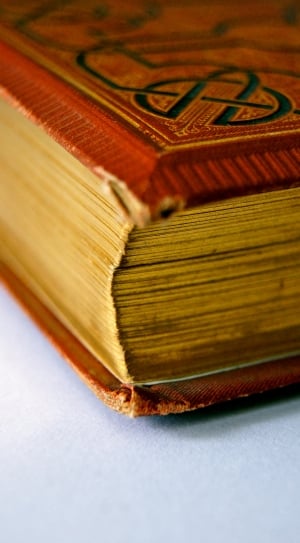 close up photography of brown covered book thumbnail