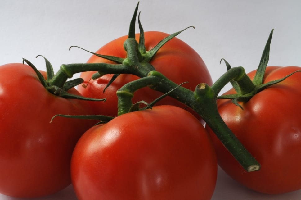 4 red tomatoes preview