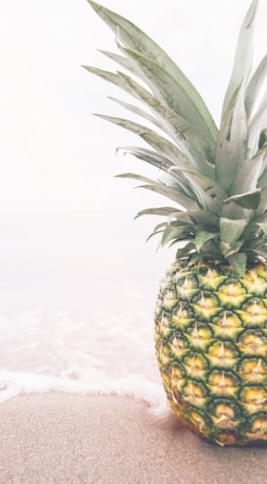 pineapple fruit on shore during daytime thumbnail