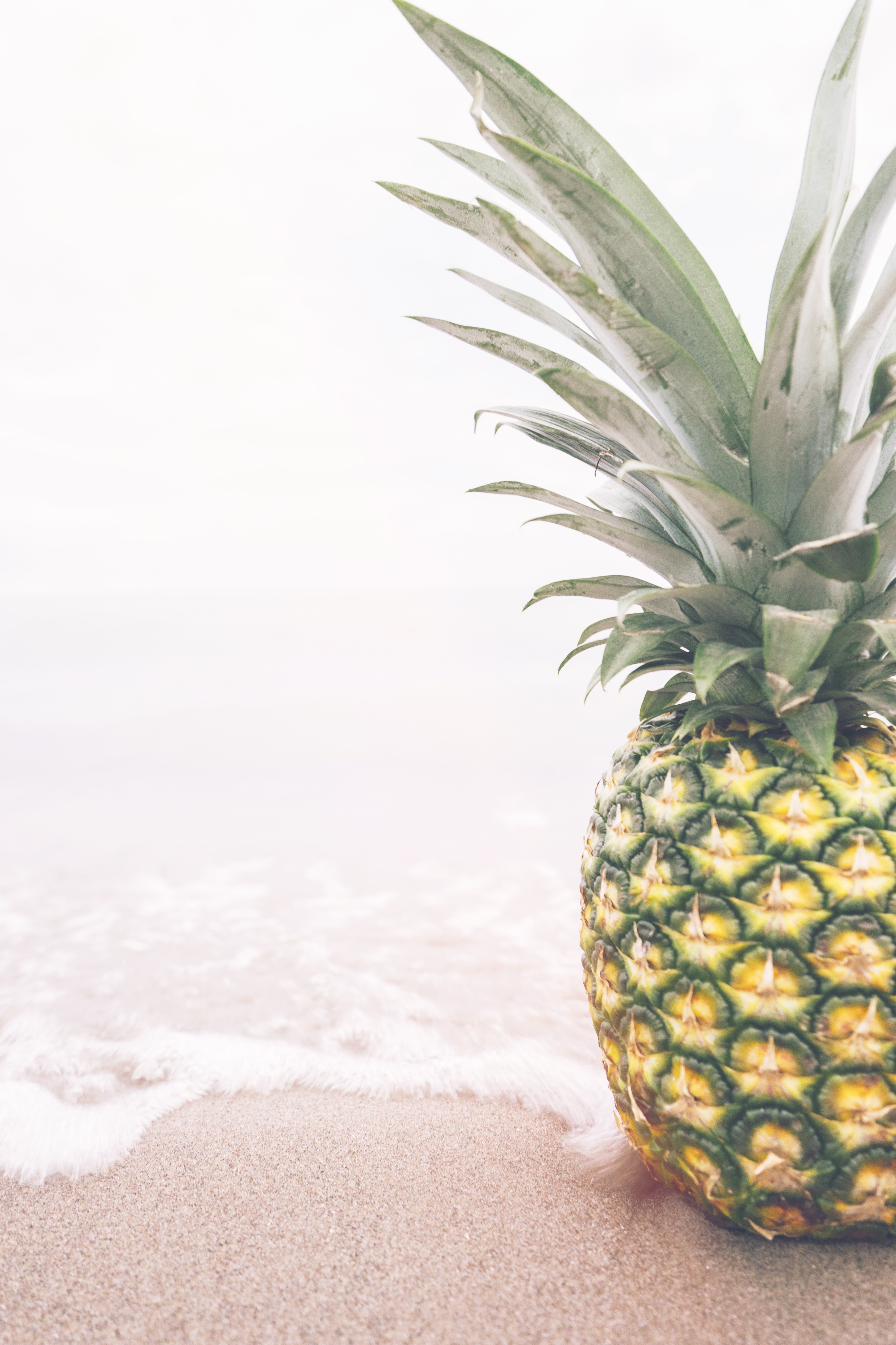 pineapple fruit on shore during daytime