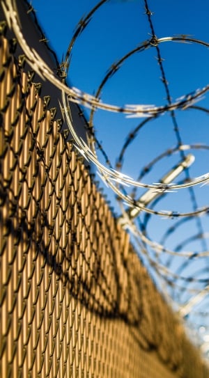 shallow focus photography of stainless steel barbwire wall thumbnail