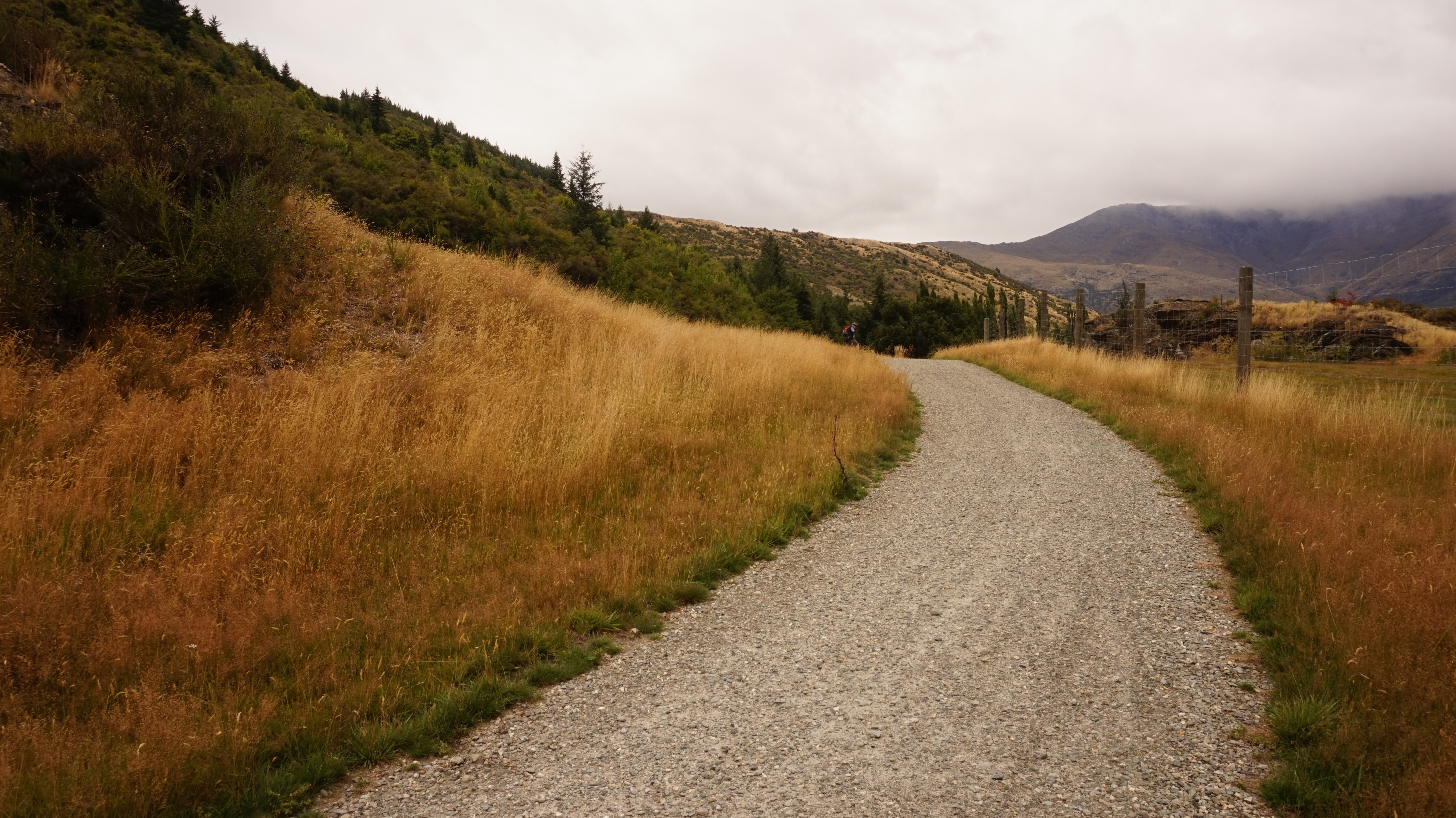 gray road in between brown grass field