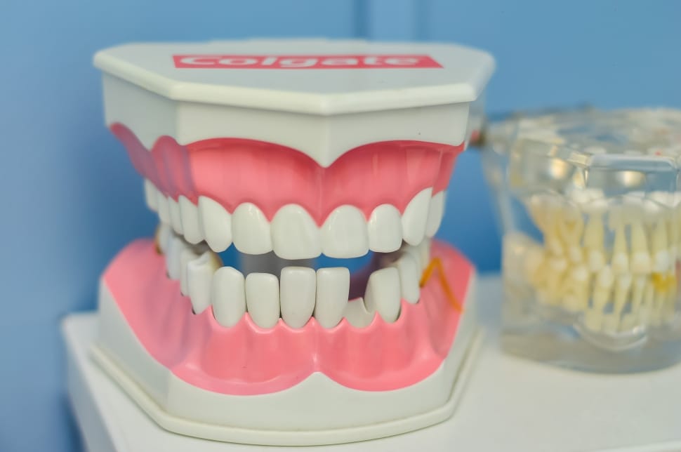 white and pink dentures preview
